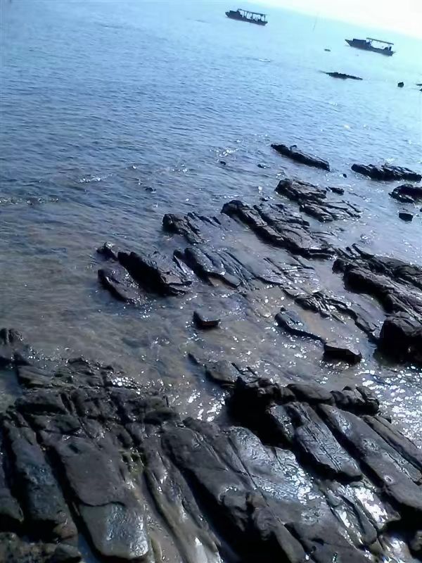 他说的“白头”，竟是再也没有回头