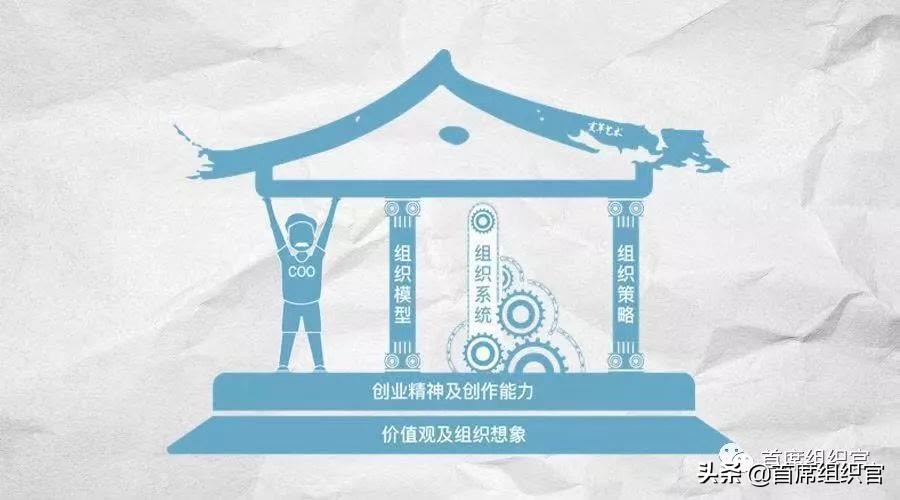 首席运营官coo与运营总监的区别,首席运营官coo是什么职位