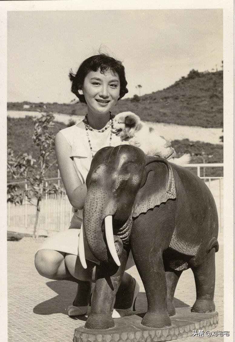 “东方赫本”夏梦:为什么看不上金庸?57年后,当事人10个字回应