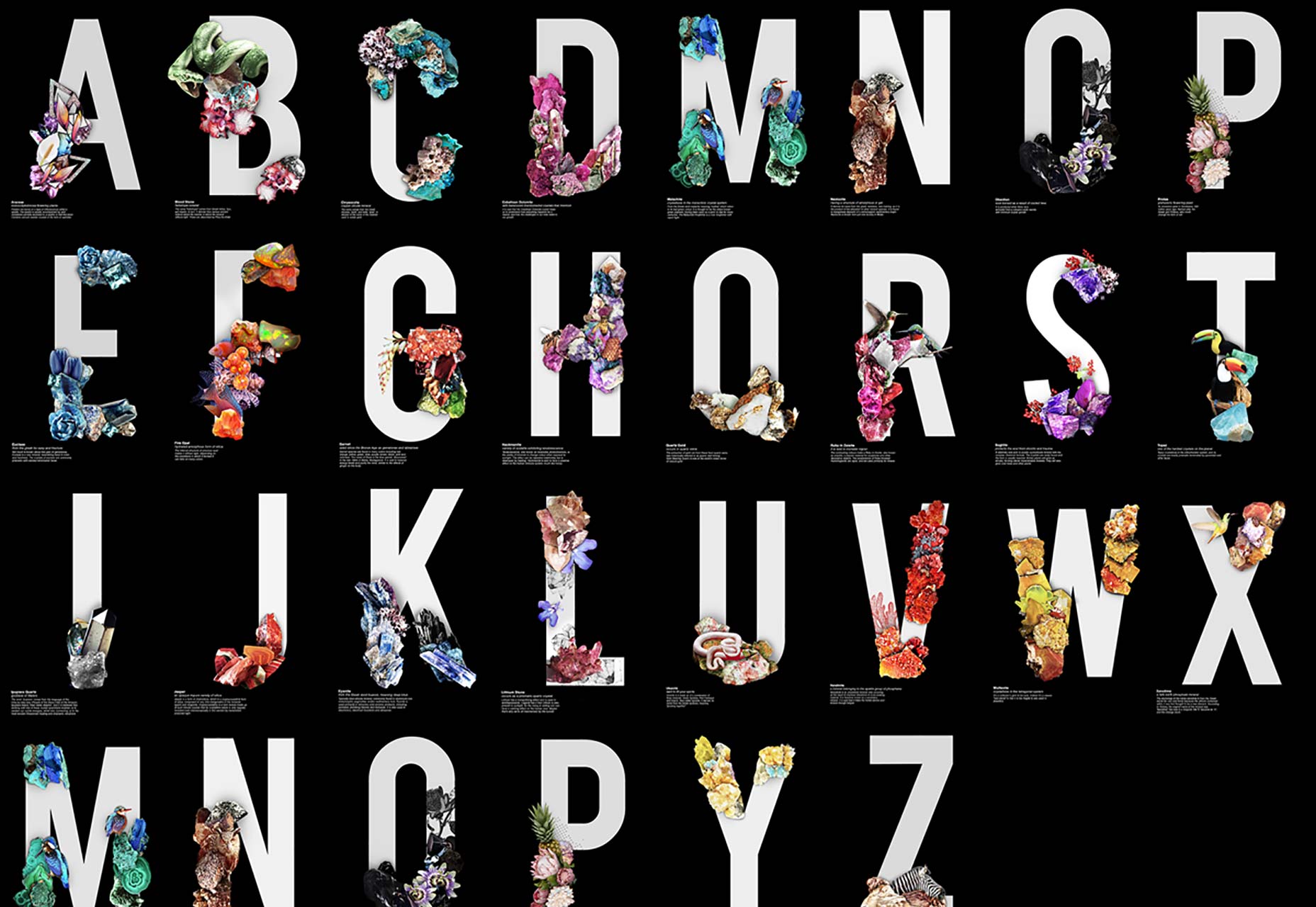 logo字体设计ps,ps做头像logo字体