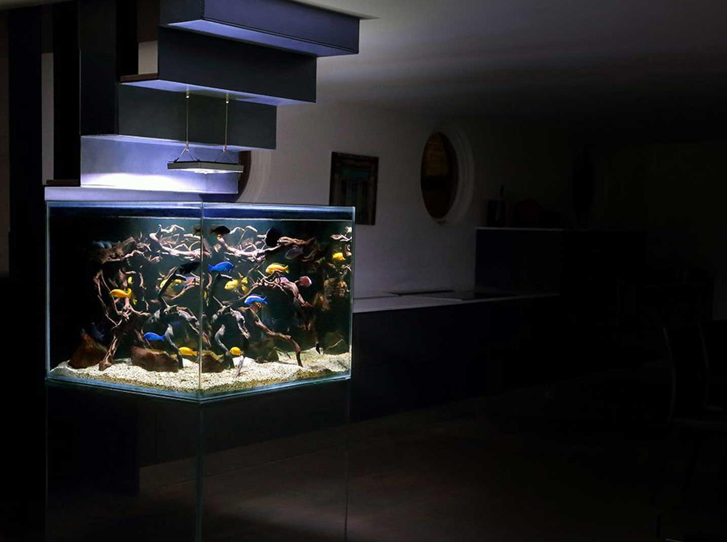 如何挑选一个适合自己的毛绒玩具,如何挑选一个适合自己的跑步机