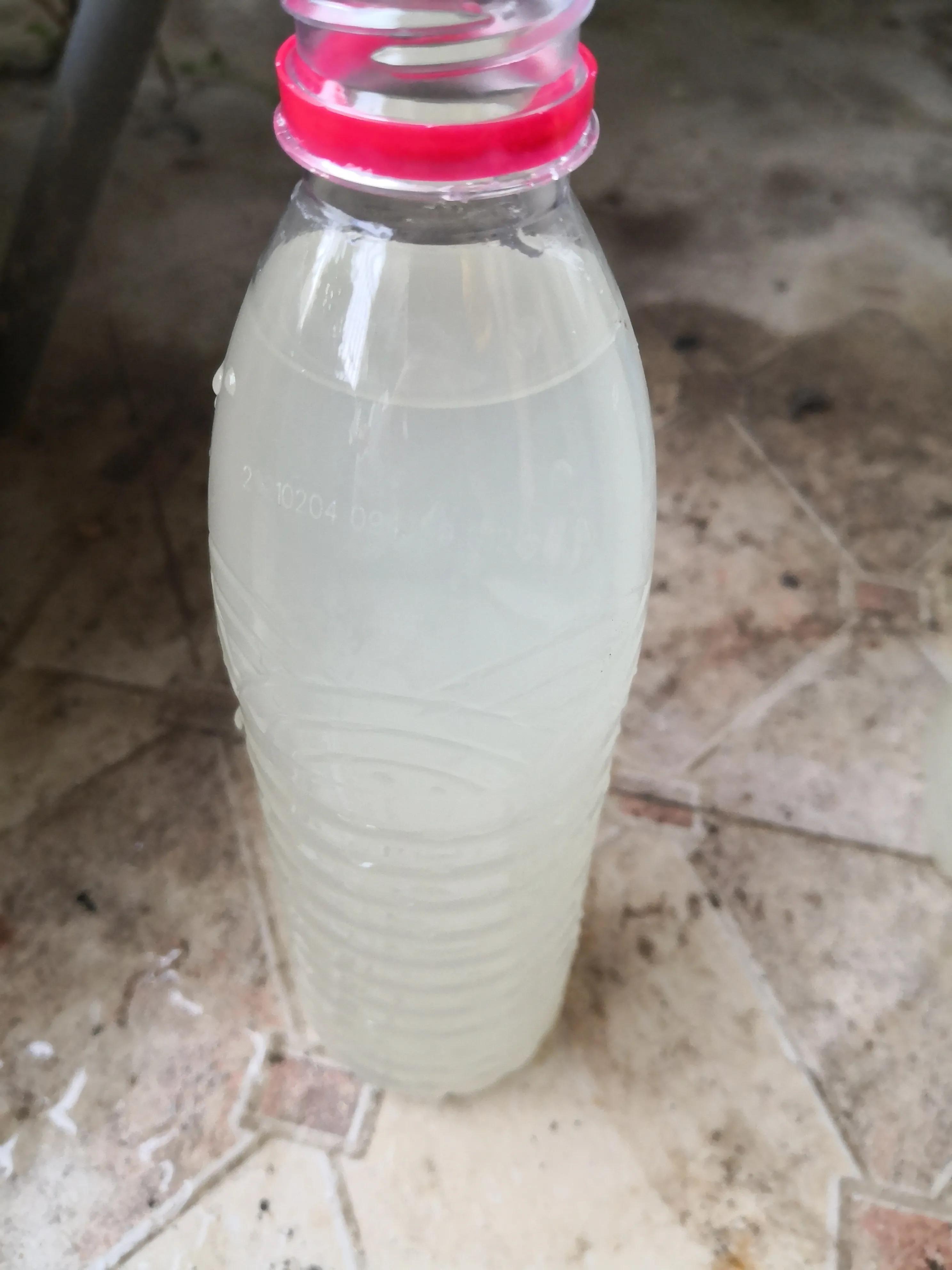 鱼缸养锦鲤水花视频,锦鲤水花苗德系