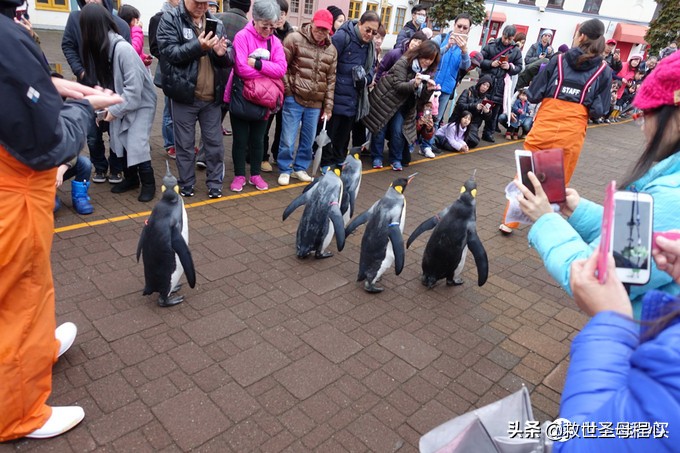 日本旅游工资流水单什么样,日本流水账式旅行
