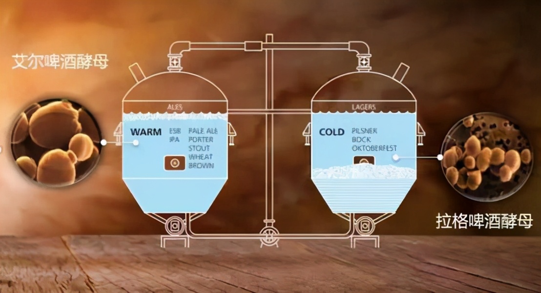 啤酒雪花勇闯天涯550罐装,啤酒漓泉1998好喝吗