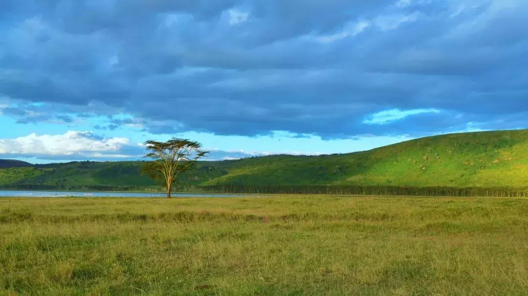肯尼亚最值得去的地方,肯尼亚最值得去的二十个地方