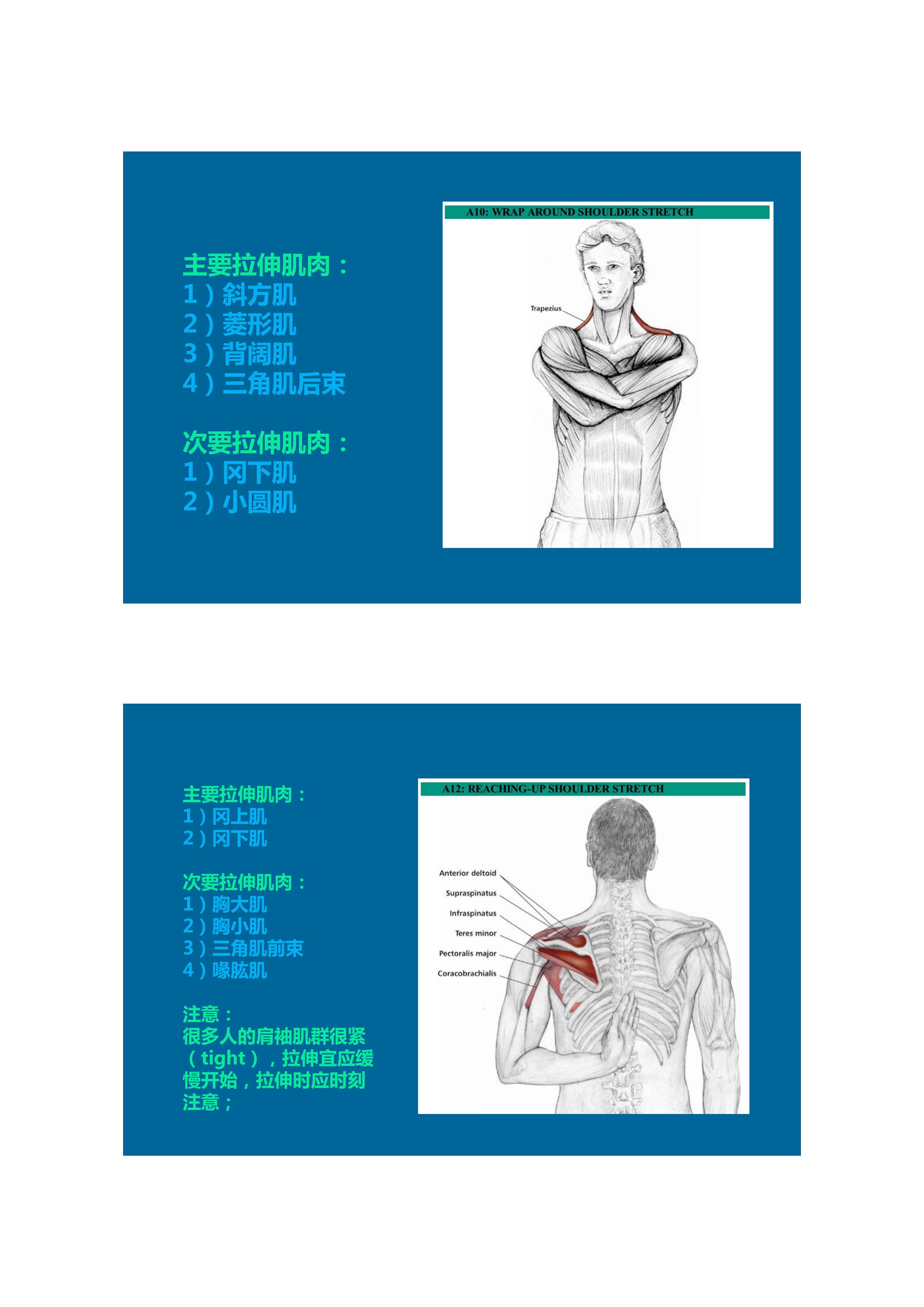 1分钟拉伸动作视频,拉伸腿部技巧