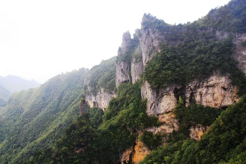 万源中学中考成绩,今年万源高考谁是第一名