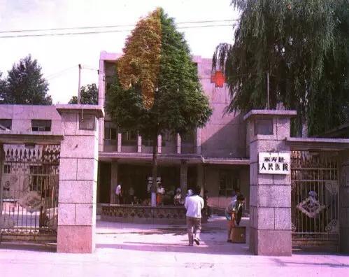 永寿美文|《小偷》文：山野农夫