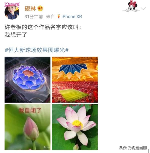 莲花足球场谁设计的,莲花足球场原稿
