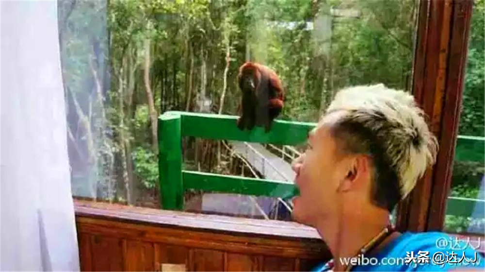 那些年曾住过的酒店,那些年住过的民宿