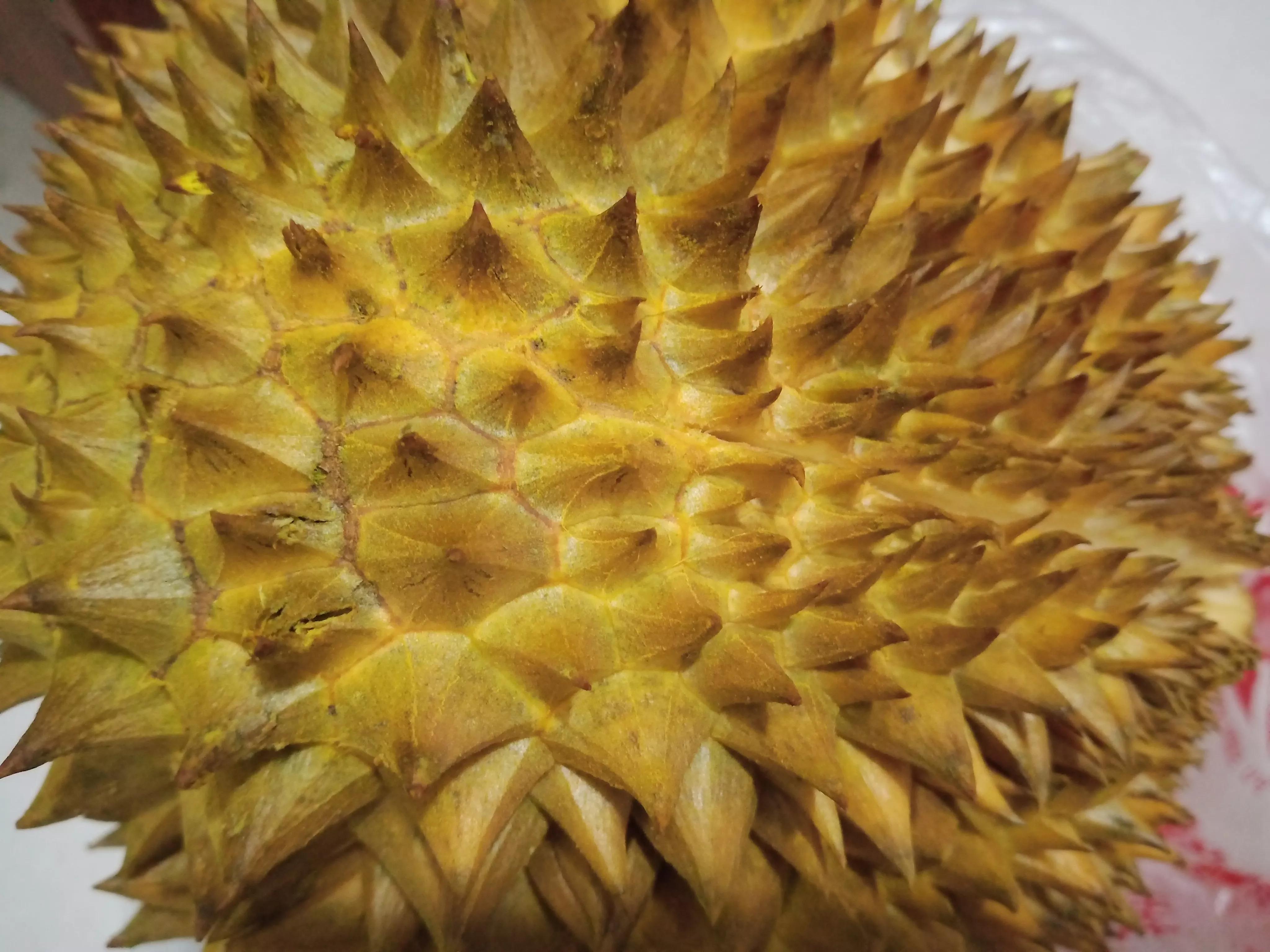 妈妈不吃榴莲女儿爱吃,小孩说不吃榴莲