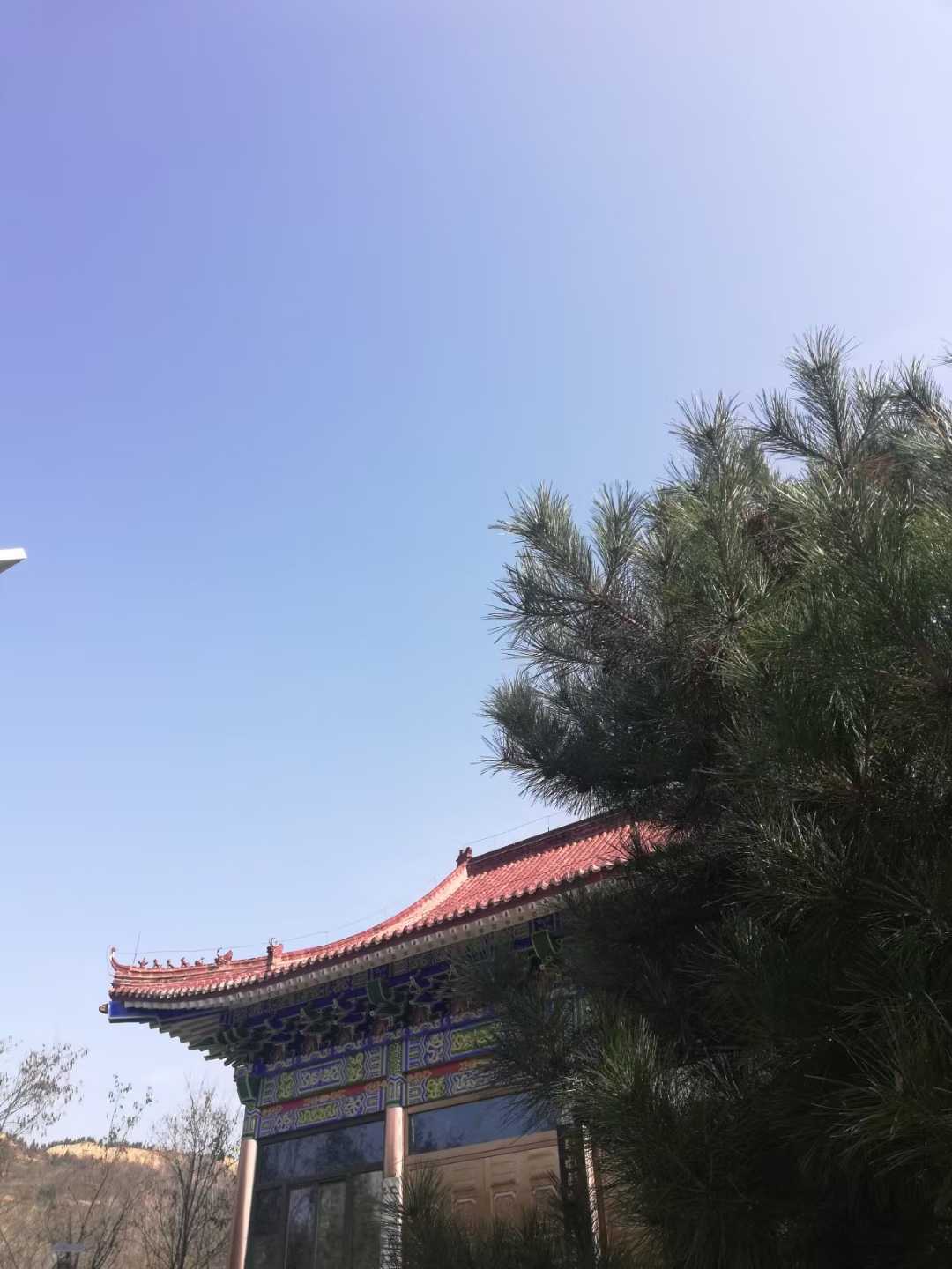 金龙祈福龙飞凤鸣,观音山祈福圣地