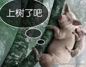 直播带货凭什么赚钱,直播带货靠什么赚钱