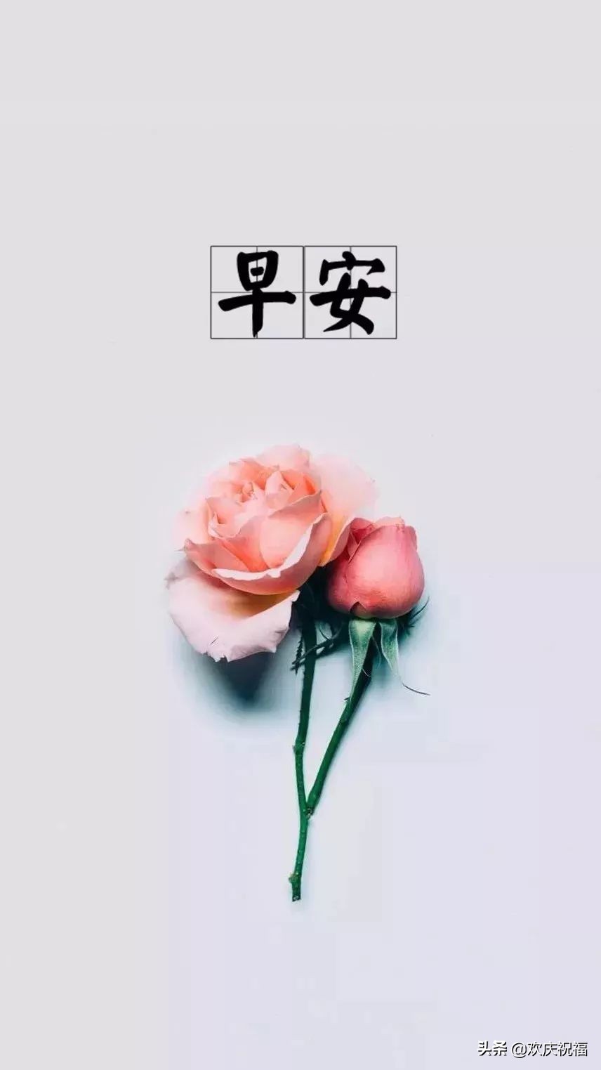 早上好励志语录早安正能量,早安心语每日一句经典早上好