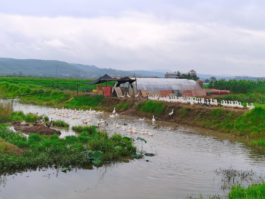 寻甸渔乐谷最新消息,寻甸欢乐世界项目大全