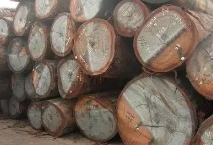 文玩界的秘密介绍,文玩秘密100个