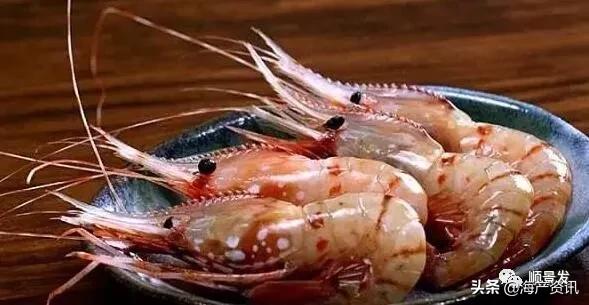 各国海鲜大盘点,今年过年最值得入手的海鲜
