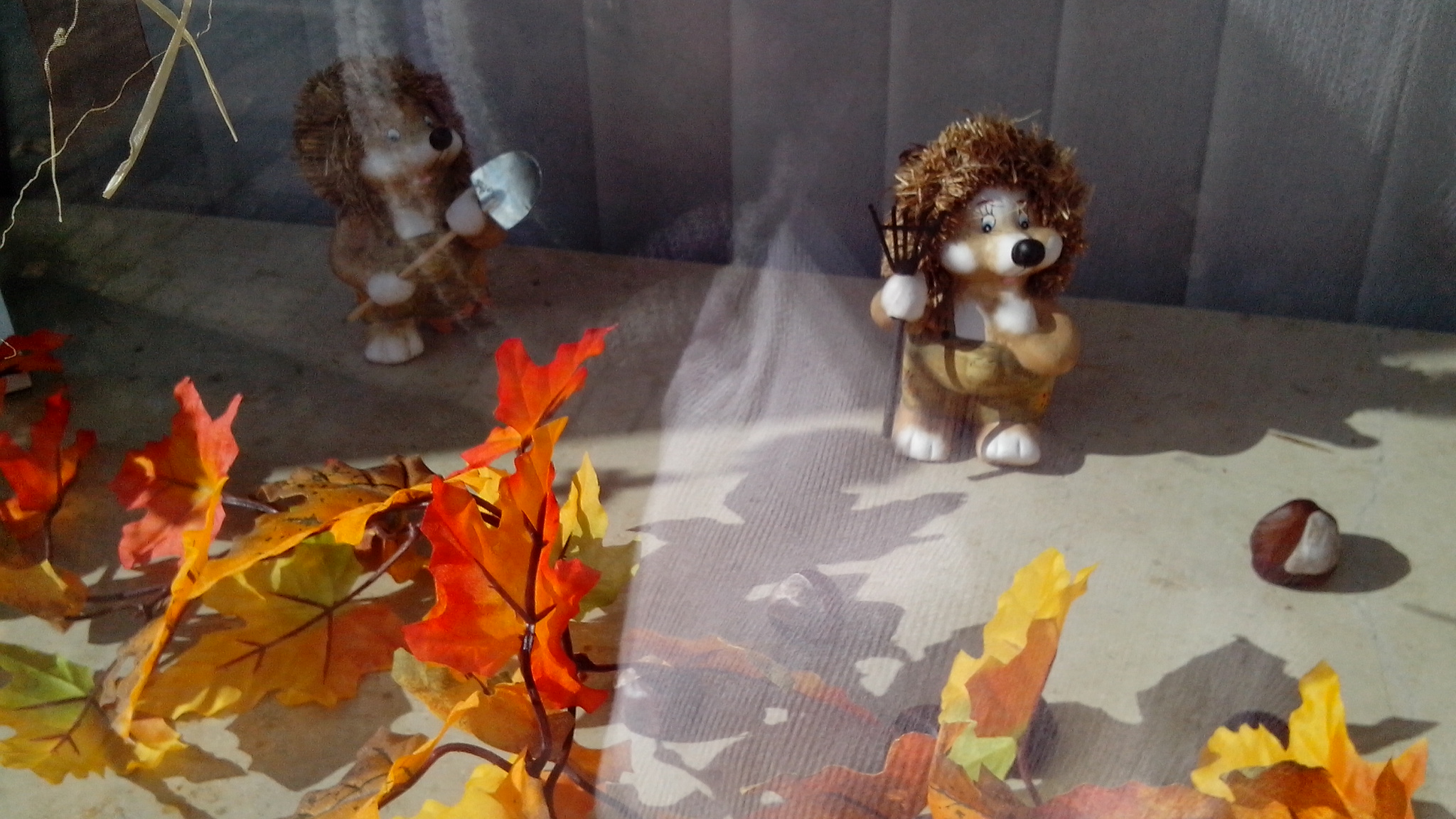 德国男人谨慎又开放，哪是真，哪是假，你怎么看？