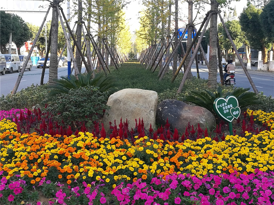 大别山脚下，长河岸边，40年崛起一座新城