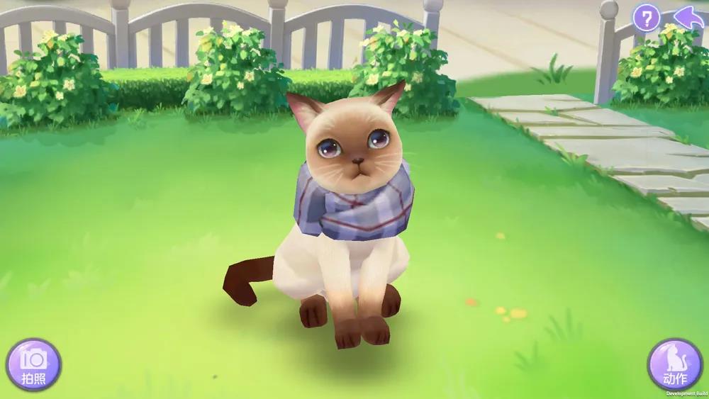 哪个品种的猫咪才最吸引人？《喵与筑》机械猫带来云养猫新体验