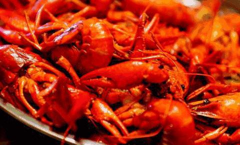 扒一扒大众甲壳虫的一串黑历史,扒小龙虾的视频