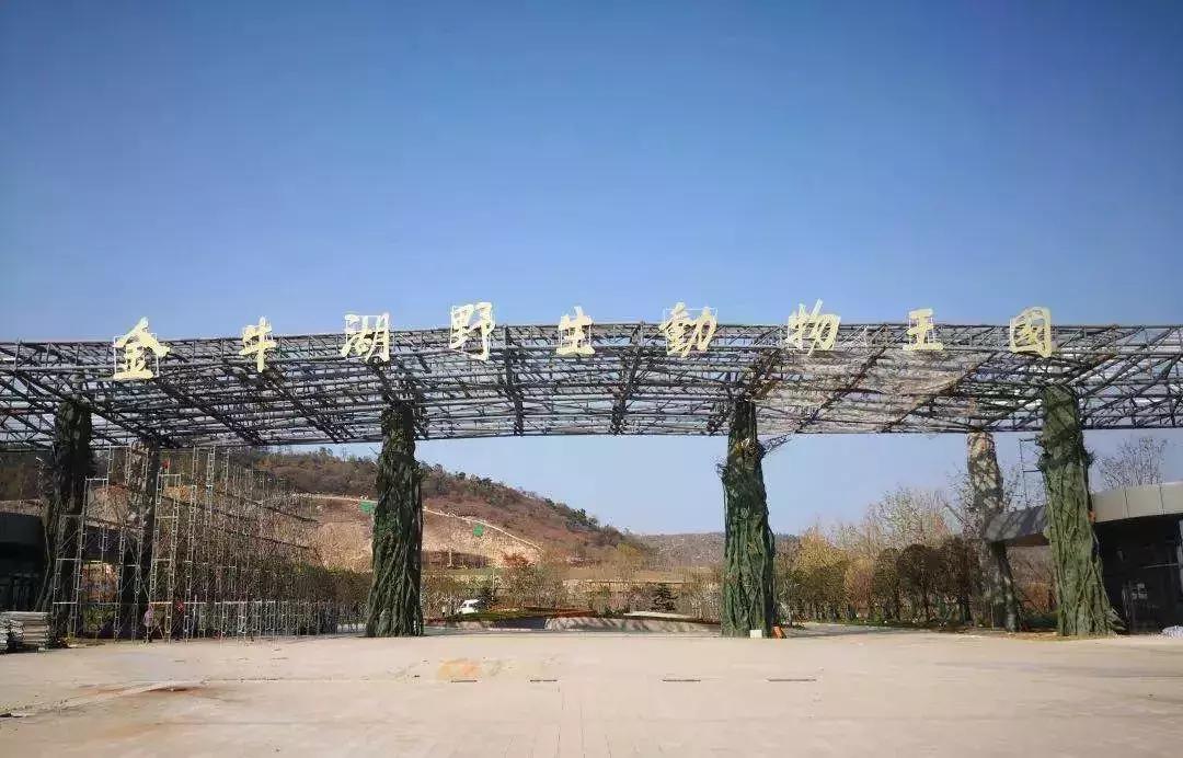 今天起，南京即将大变！看完之后，你绝对不想离开！