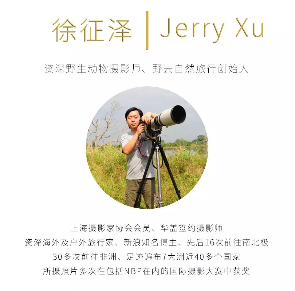 一组国际摄影大赛获奖作品速览,震撼心灵的45张摄影金奖照片珍藏