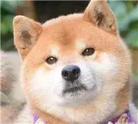 男朋友一直打游戏要怎么办,男朋友半夜打游戏不睡觉怎么办