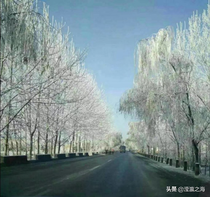 我和我同桌女生版,我和我的同桌样貌不一样