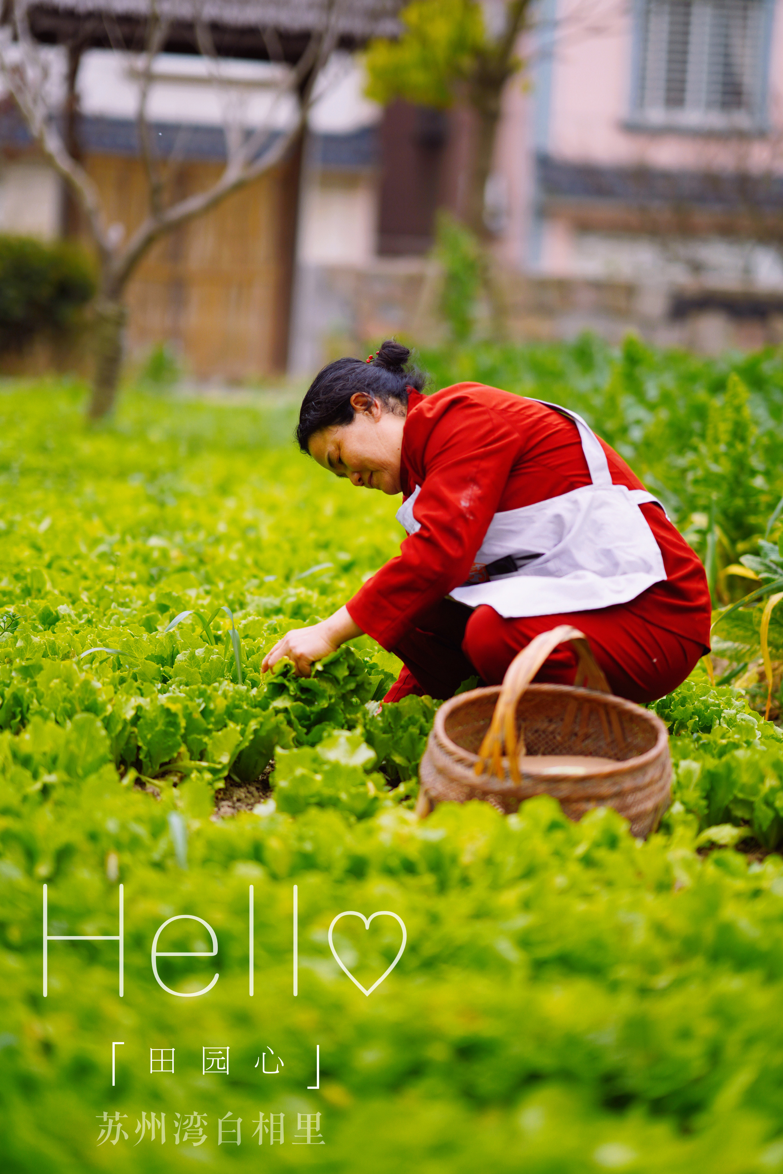 苏州特色民宿推荐,苏州最有特色民宿推荐