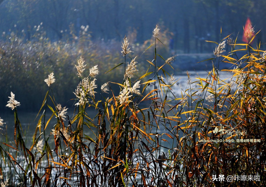 井陉矿区古城景点,井陉矿山古村