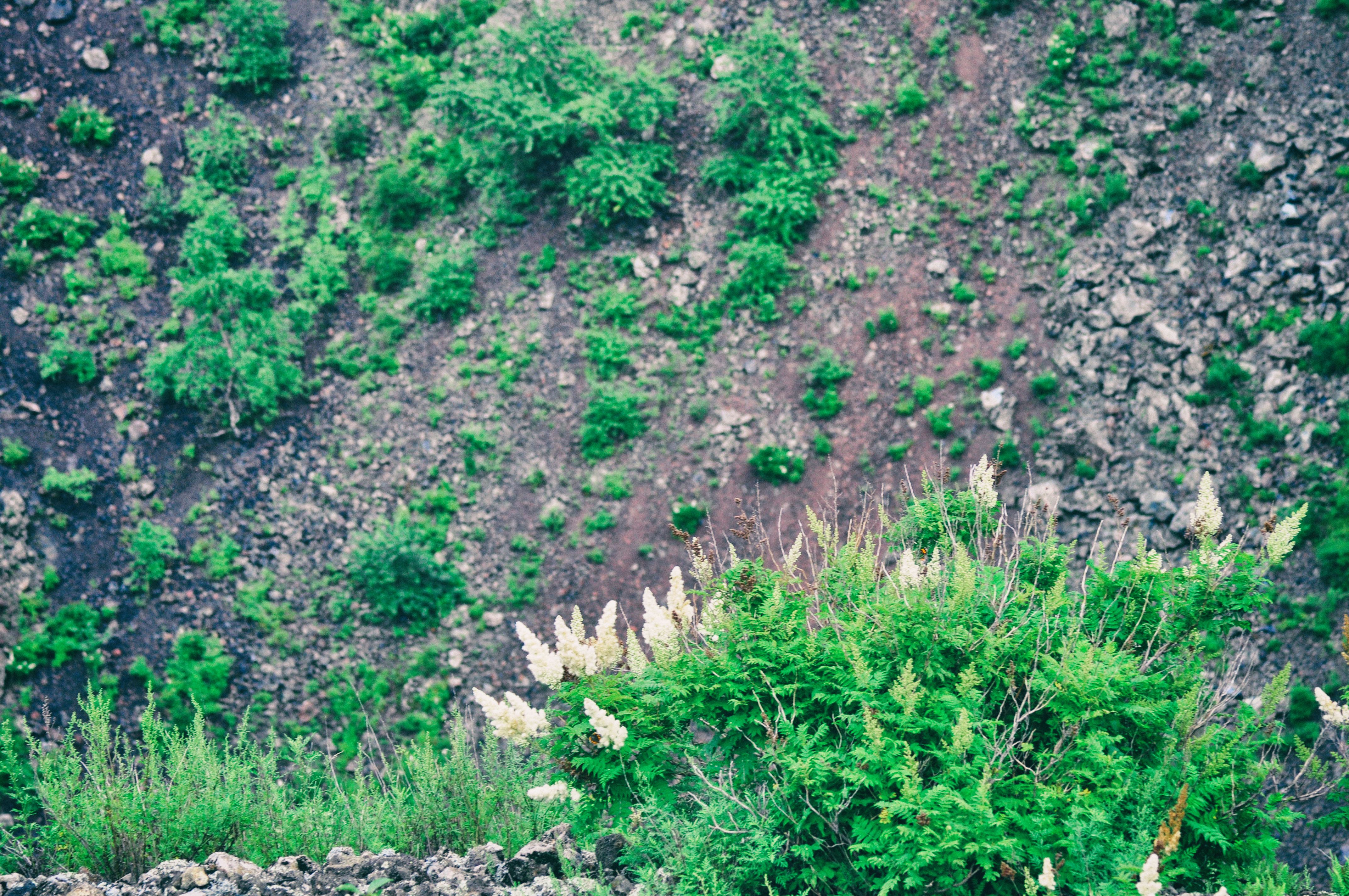 南方人自驾来东北是啥体验,15天一万公里的新疆感受