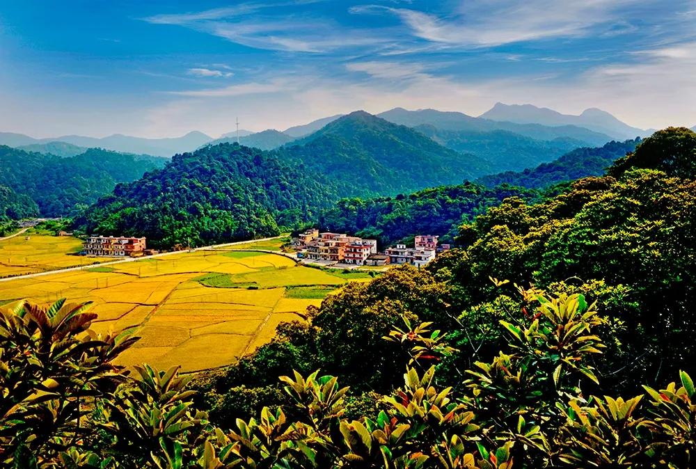 百佳诗意小城|@惠东人，快来为惠东打CALL!