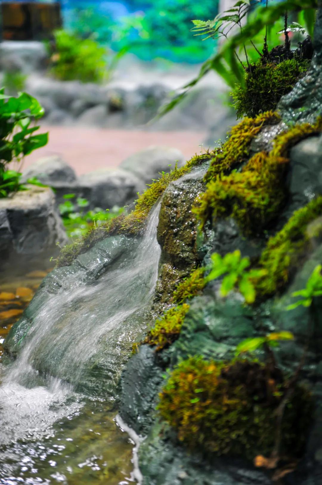 这个季节适合去济南哪旅游,济南十一假期游玩攻略