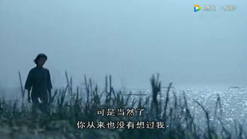 心悦君兮君不知电视剧在线观看,山有木兮心悦君兮君不知抖音歌曲