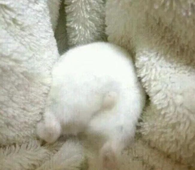 有痔疮的，切勿不当回事，少网上查，多治疗