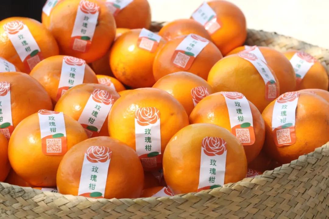 请转告全国白衣战士,从化有一份特别的礼物送给你们!