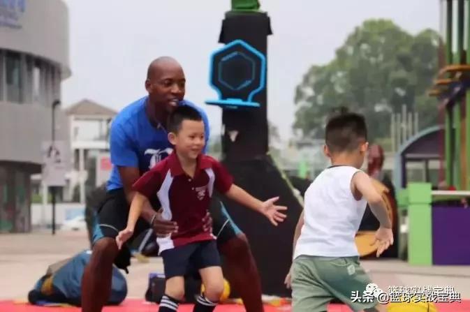 消灭小黑飞最高效最彻底的方法,消灭篮球小白