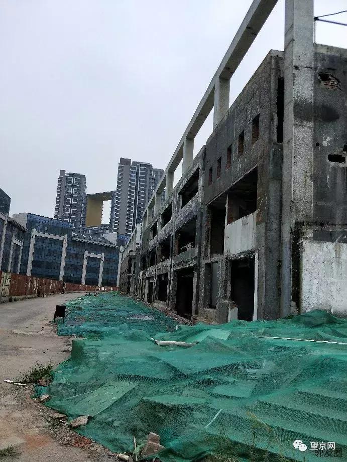 北京望京文化体育公园,望京文化体育公园预约