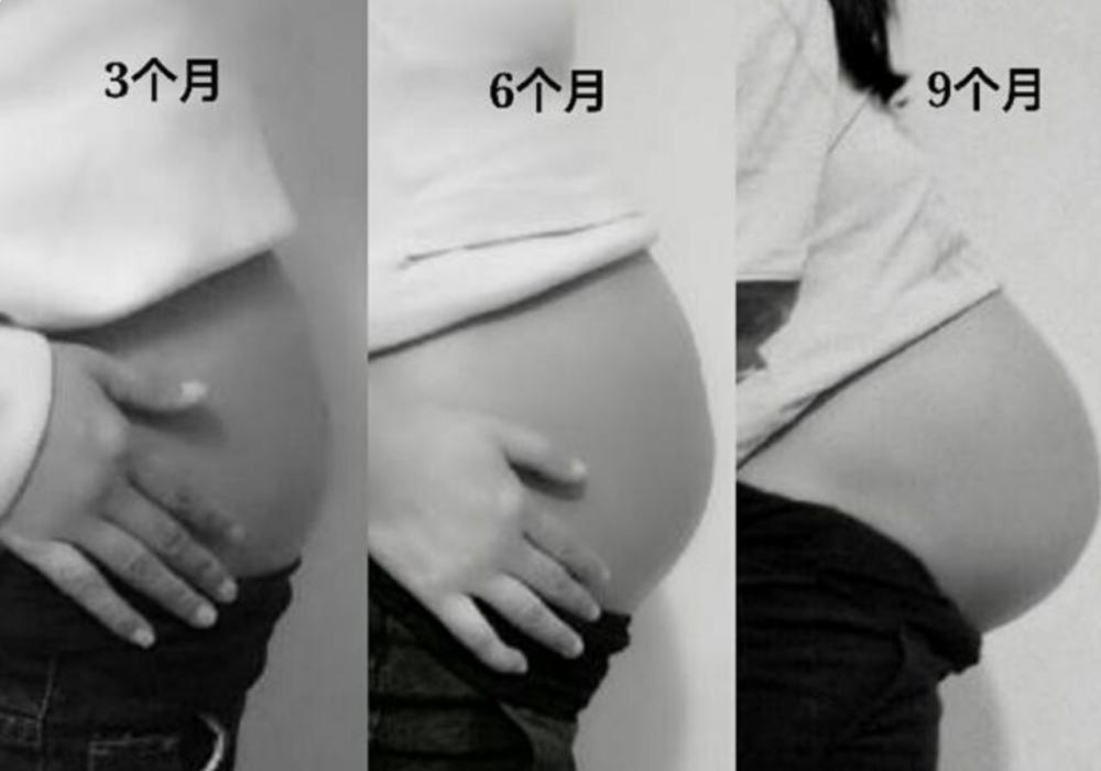 胎儿三个月到五个月的视频,胎儿3到6个月图片