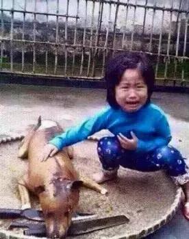 狗贩给狗狗灌水,狗贩给狗灌水