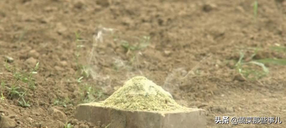 烟熏剂可以提高大棚里温度吗,大棚为什么要使用烟熏剂