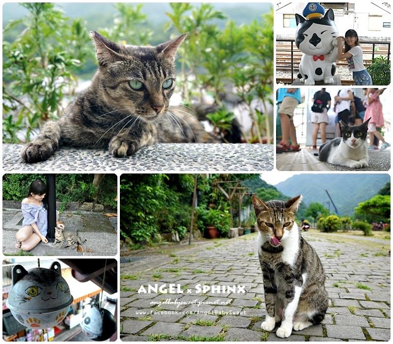 厦门顶级猫街介绍,厦门猫街值得去吗