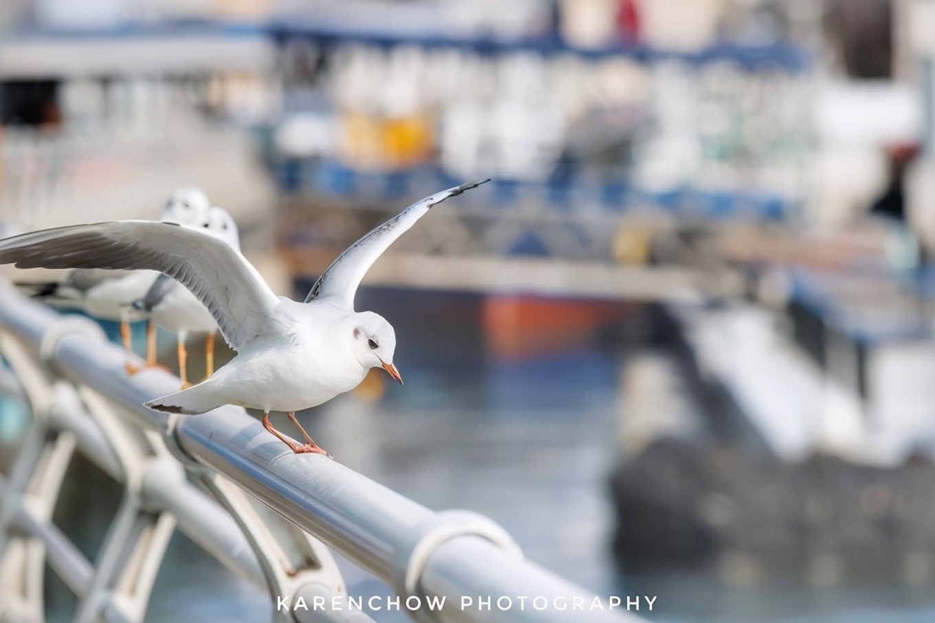 閲滃北濂界帺涓庡ソ鍚冪殑鍦版柟,閲滃北鏃呮父缇庨