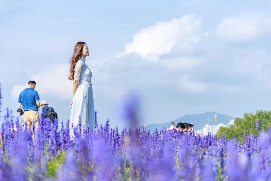 深圳游玩合集,深圳世界之窗游玩攻略必玩项目