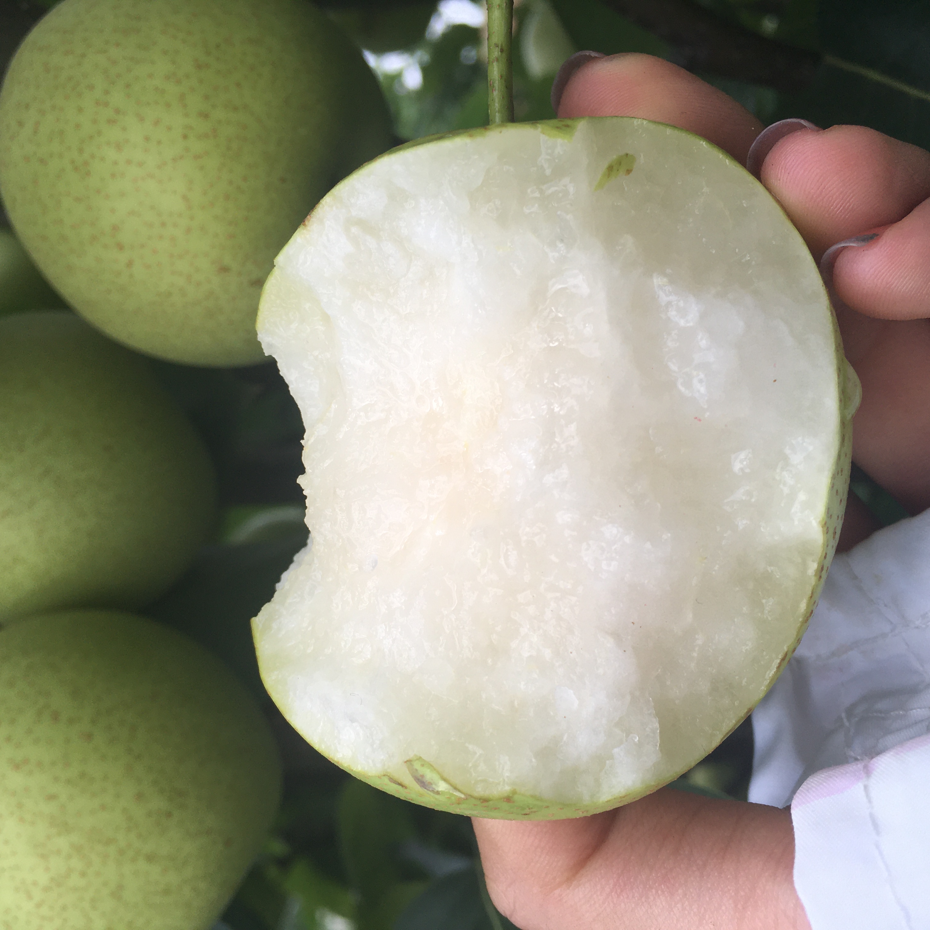 美好的事物总是很短暂完整版,美好的事物总是很短暂翻唱