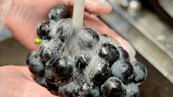 茶饮界“SK-II”,仙女们的福音,网红都常来打卡