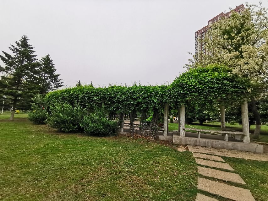 娌堥槼寮犲＋濂夎揪鍏洯,娌堥槼濂夎揪鍏洯