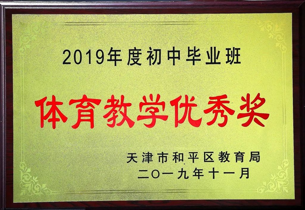从优质教育走向均衡后的优质教育——天津市第二十中学初*特中**色办学纪实