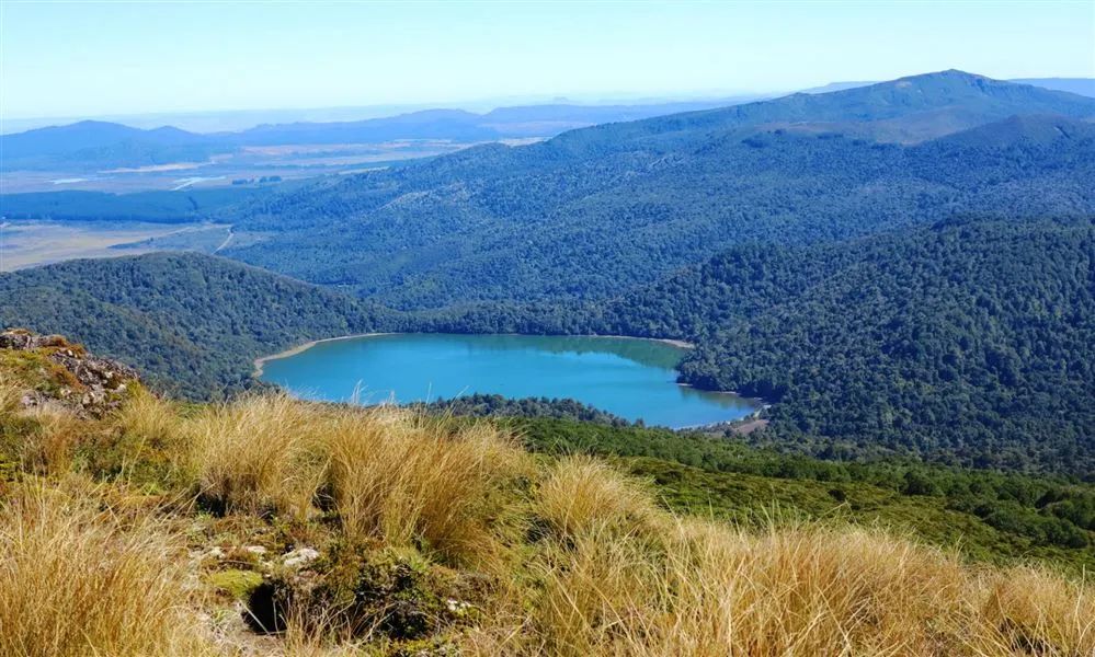 如果不是这次疫情你会在家多久,如果没有疫情这该有多好